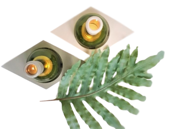 Fleslight creme en grijsgroentoepas