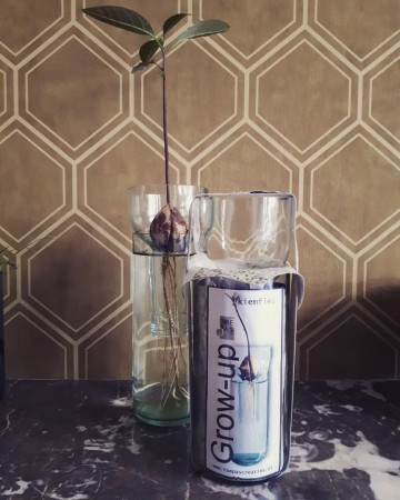 Kiemfles grow up 3 0