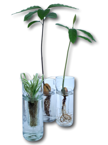 Kiemfles toepas creaties 0