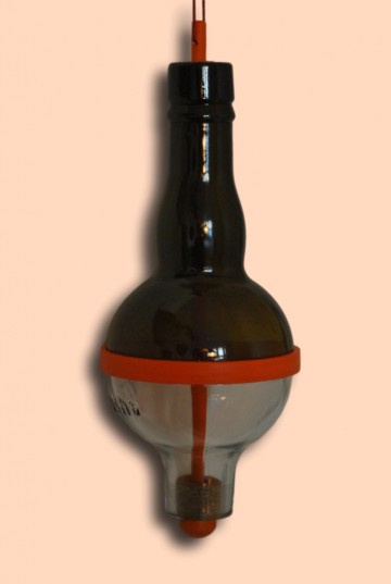 Toepas tipsy chardonay orangeclippedrev3